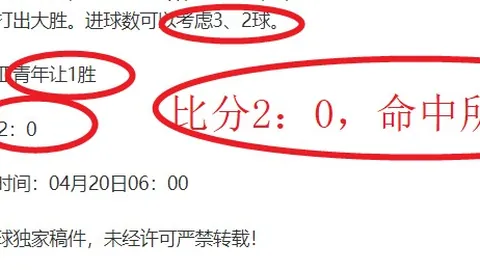 莱汉成功登陆欧洲联赛：去年试训落空，今赛季扬帆起航